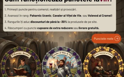 🏰 Cum funcționează sistemul de puncte IAVIN?