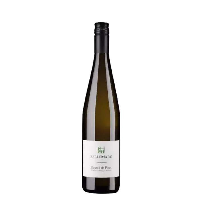 Bellemare Picpoul de Pinet 2024 1