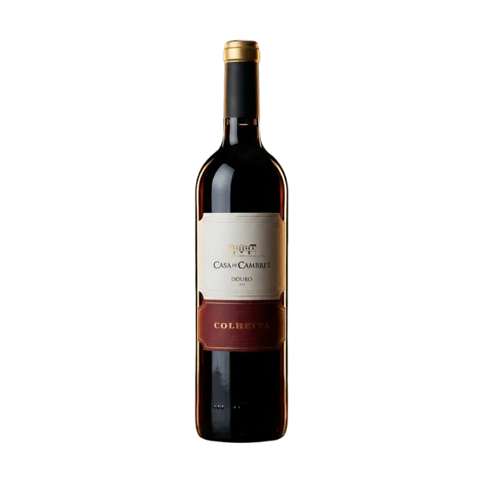 Casa de Cambres Doc Douro Colheita Red 2021 1